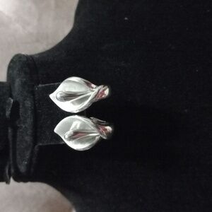 Silver Teardrop Earrings